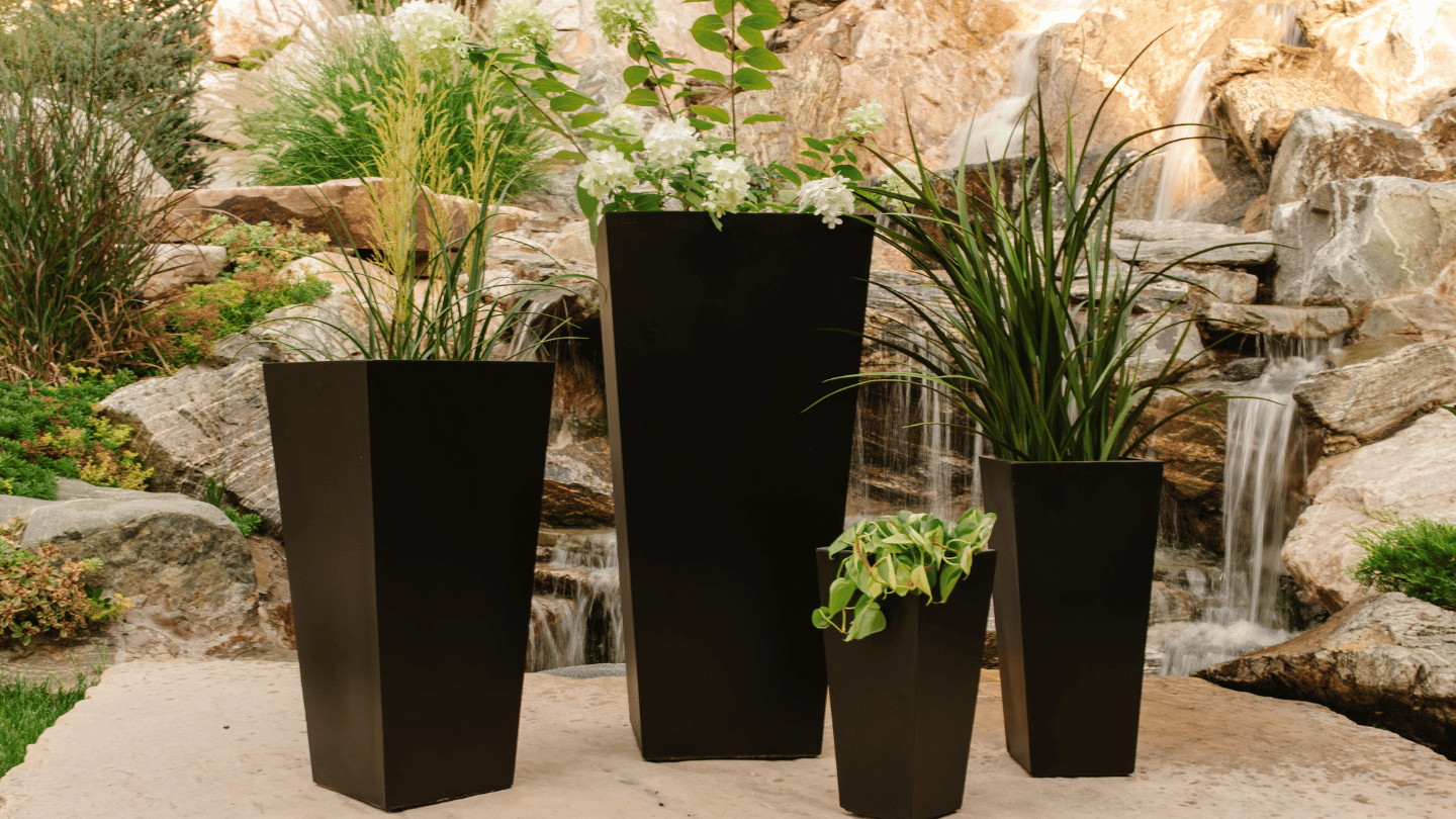 Best Plants for Black Planters – Post & Porch
