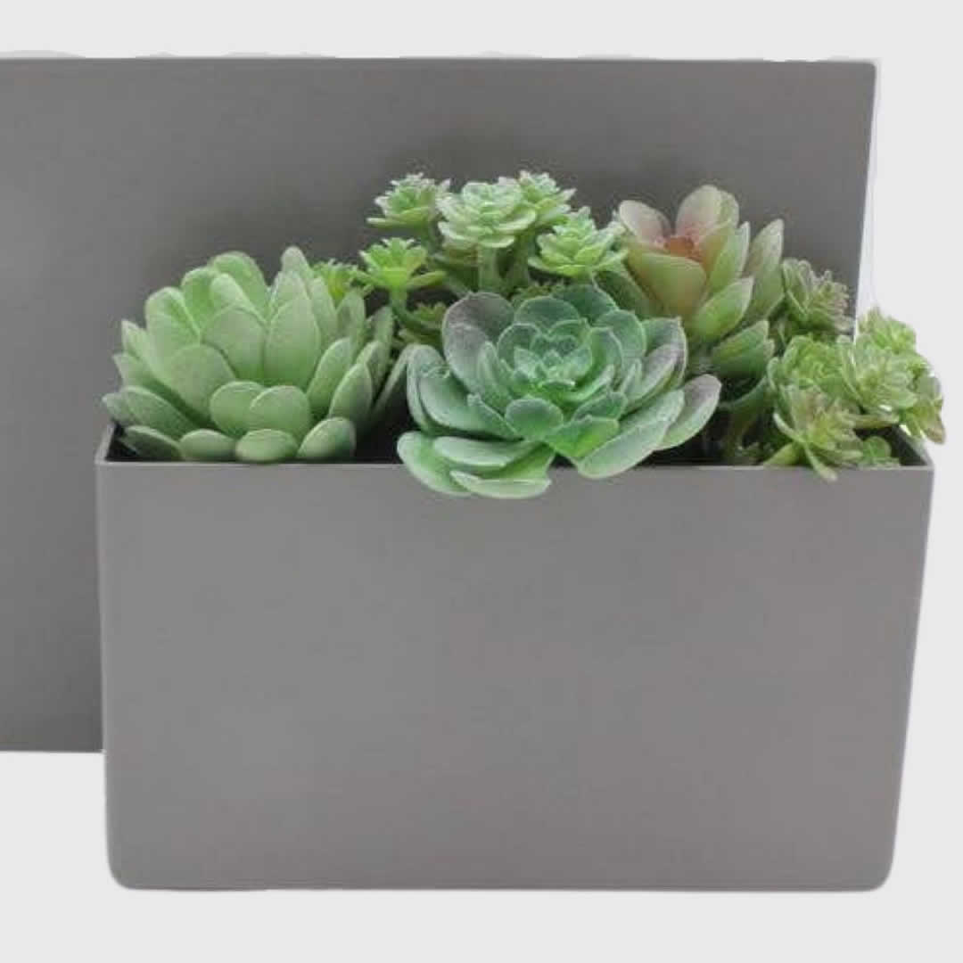 Faux Succulent Plants
