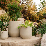 Serene Planter Pot Bundle