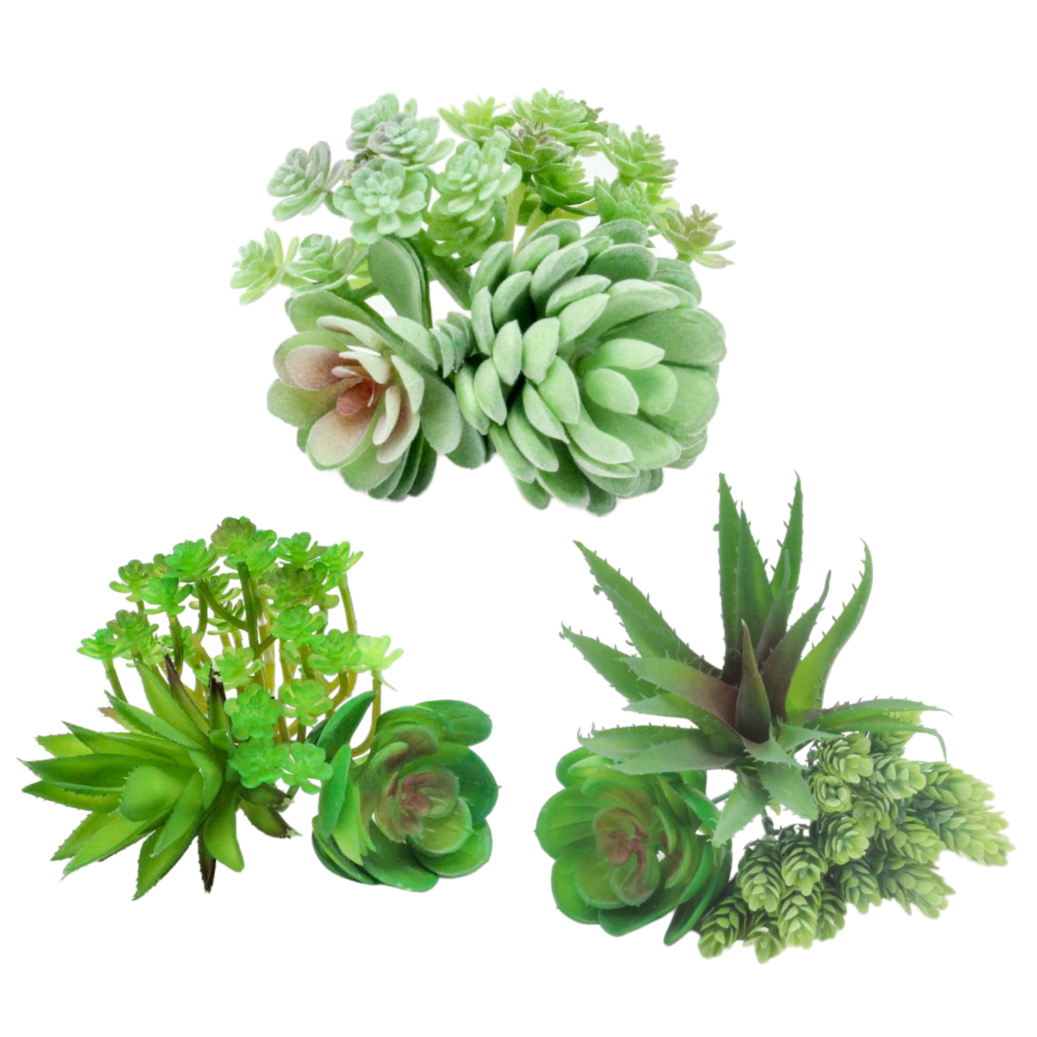 succulent fake Desert Fake Succulent Plants Bundle