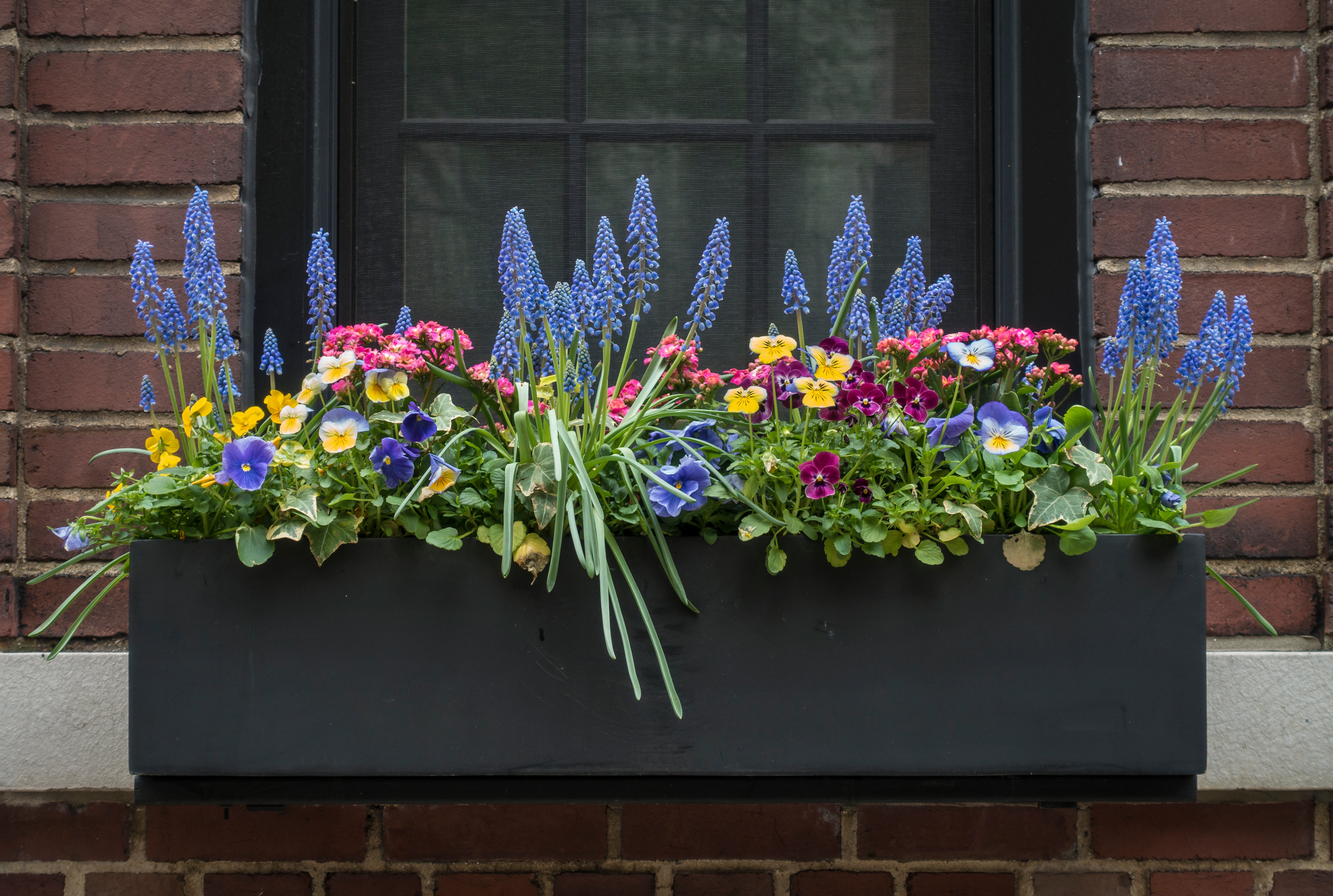 Modern Planter Box Ideas for a Chic Outdoor Look