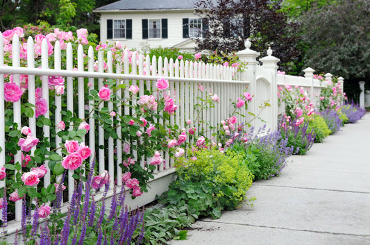 Add Curb Appeal to your Home with a Front Yard Fence