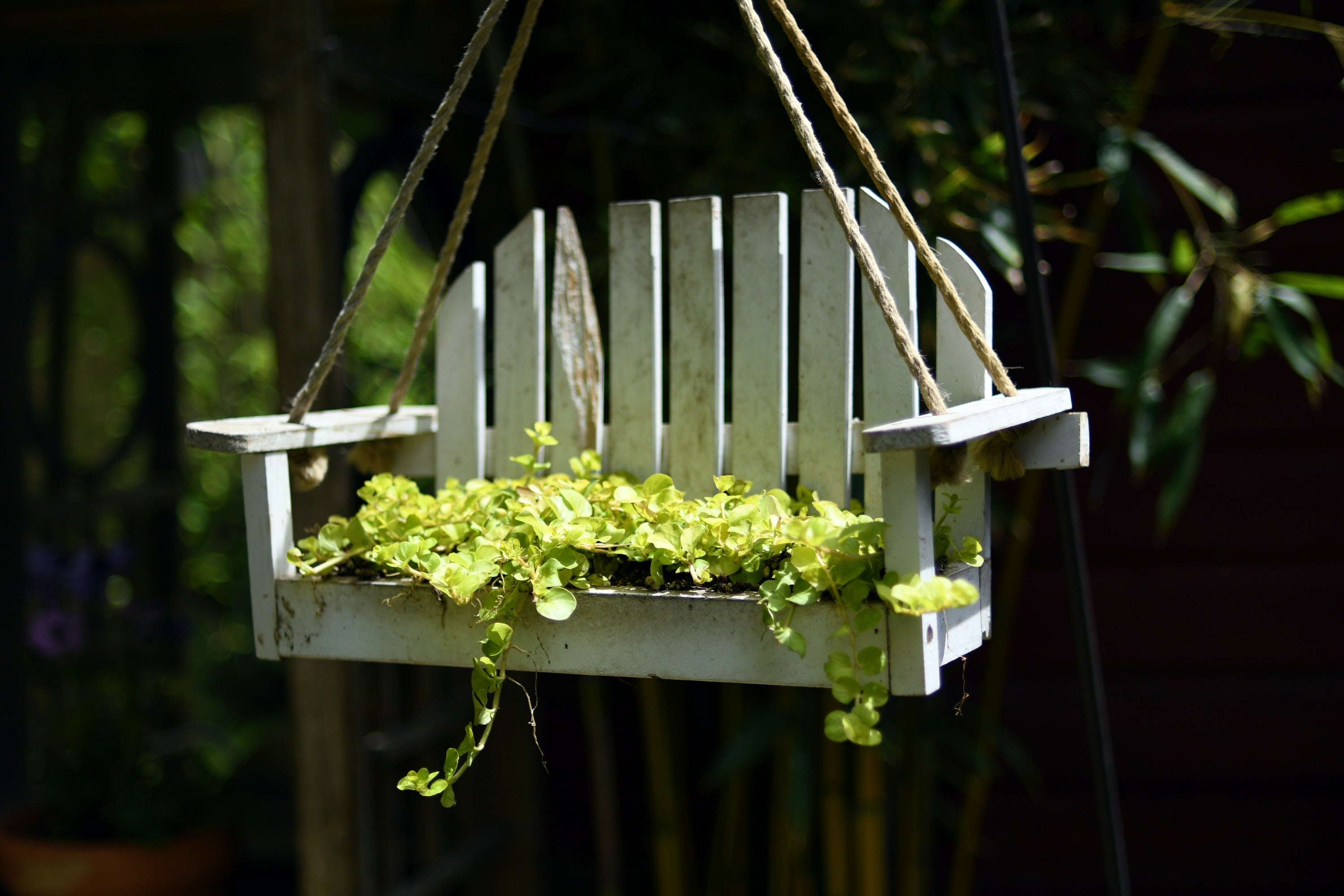 Spruce Up Your Garden with a Planter Box Bench