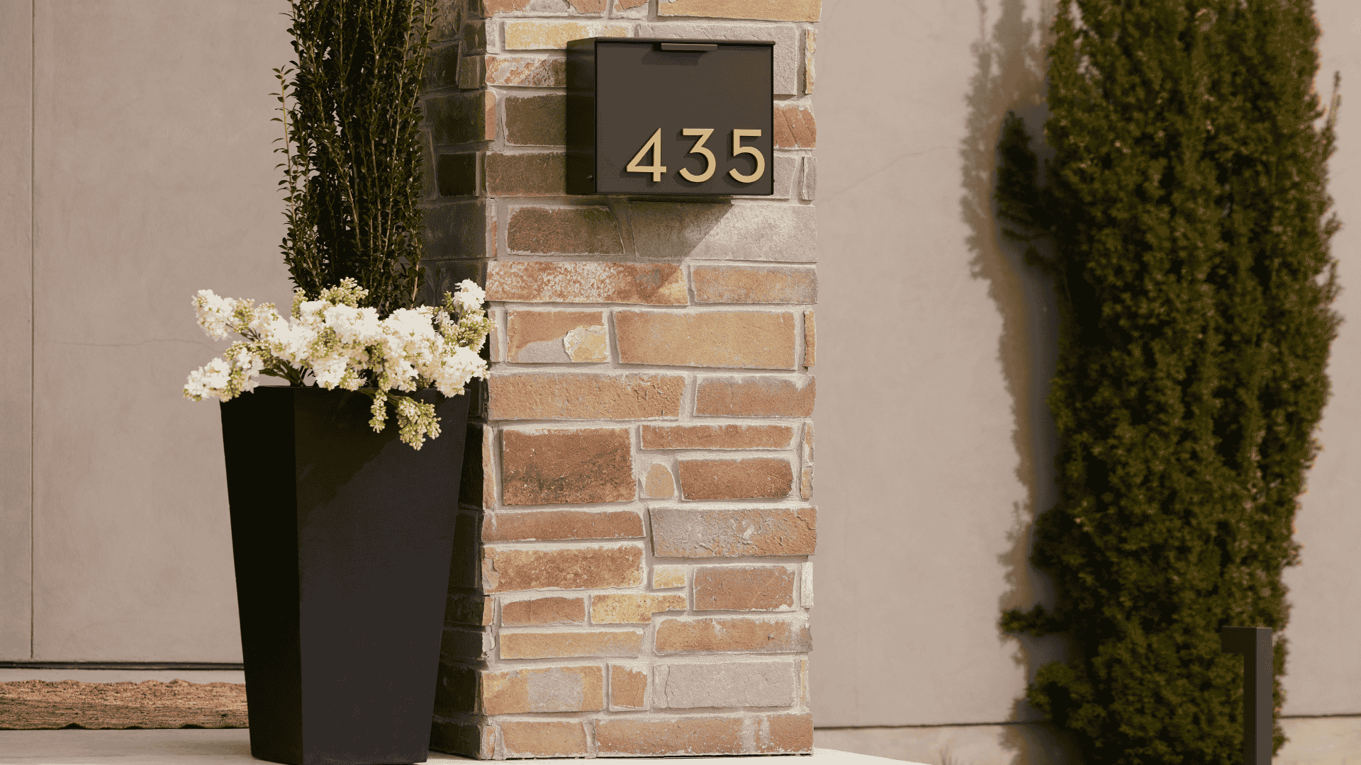 6 Home Aesthetics That Look Better with Black Planters by Post & Porch