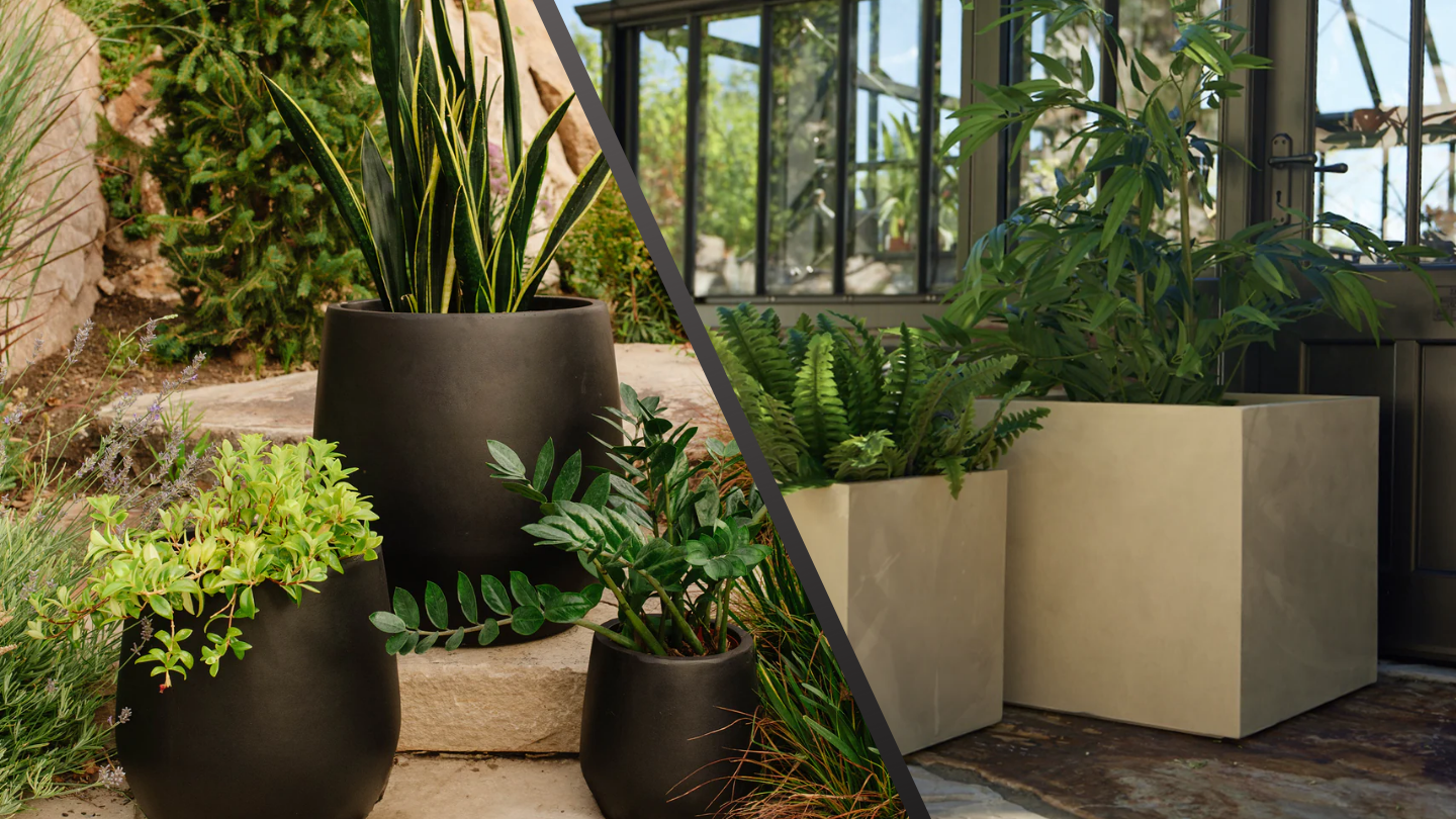 Contemporary Modern Planter Boxes: Are They a Good Buy?