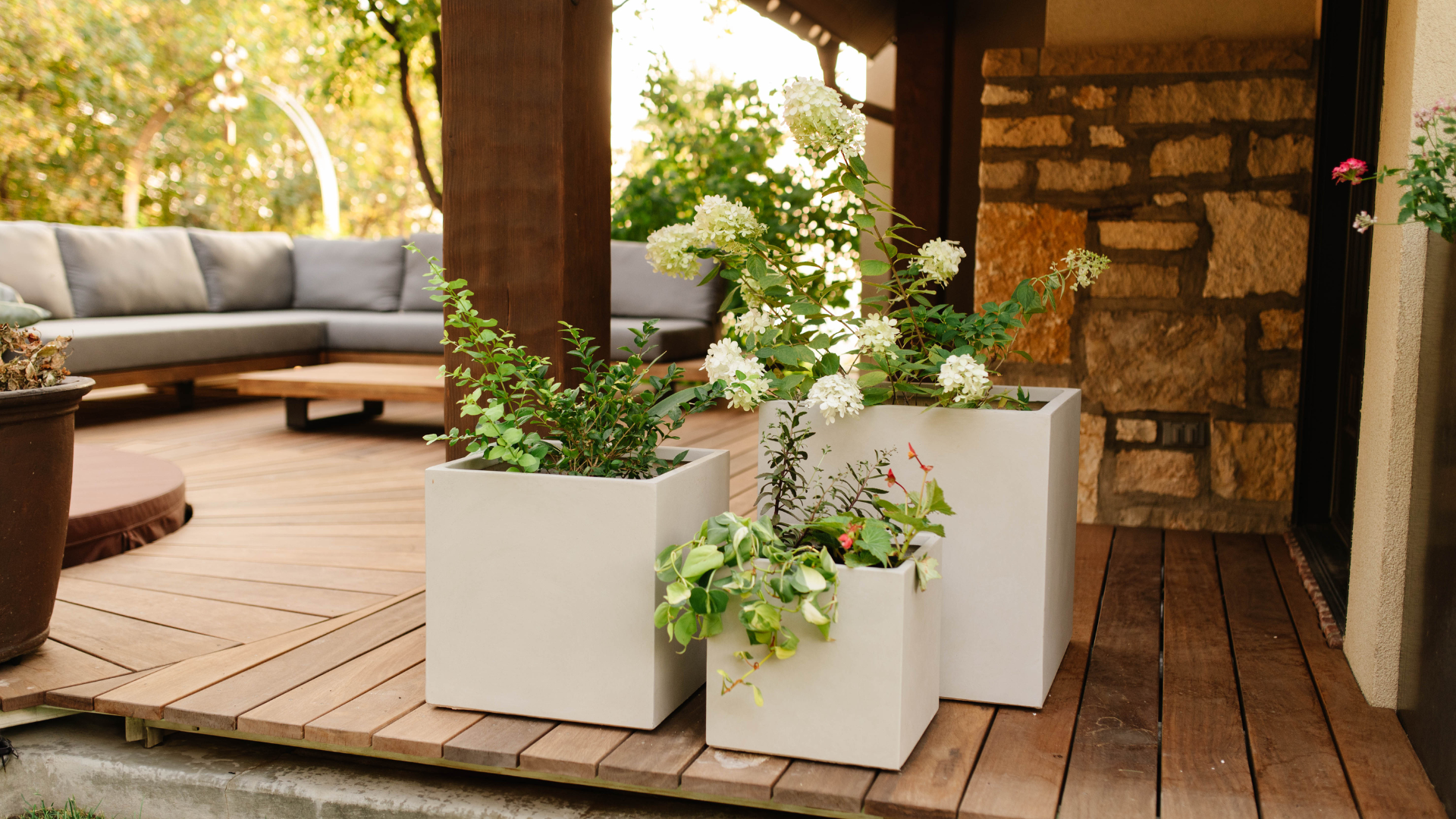 What Plants Pop in Grey Planters?
