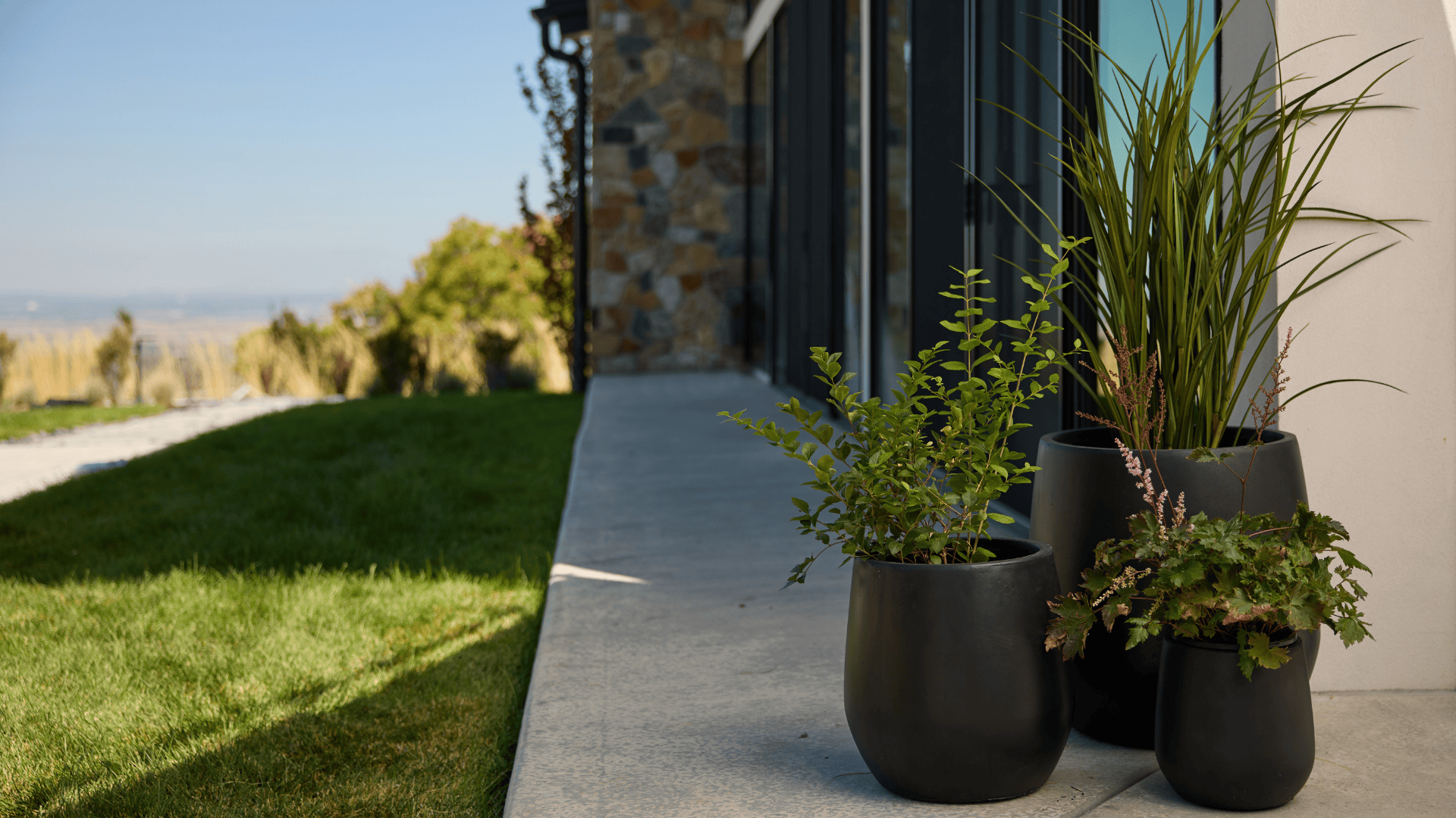Beyond the Welcome Mat: How Front Porch Planters Elevate Your Entryway