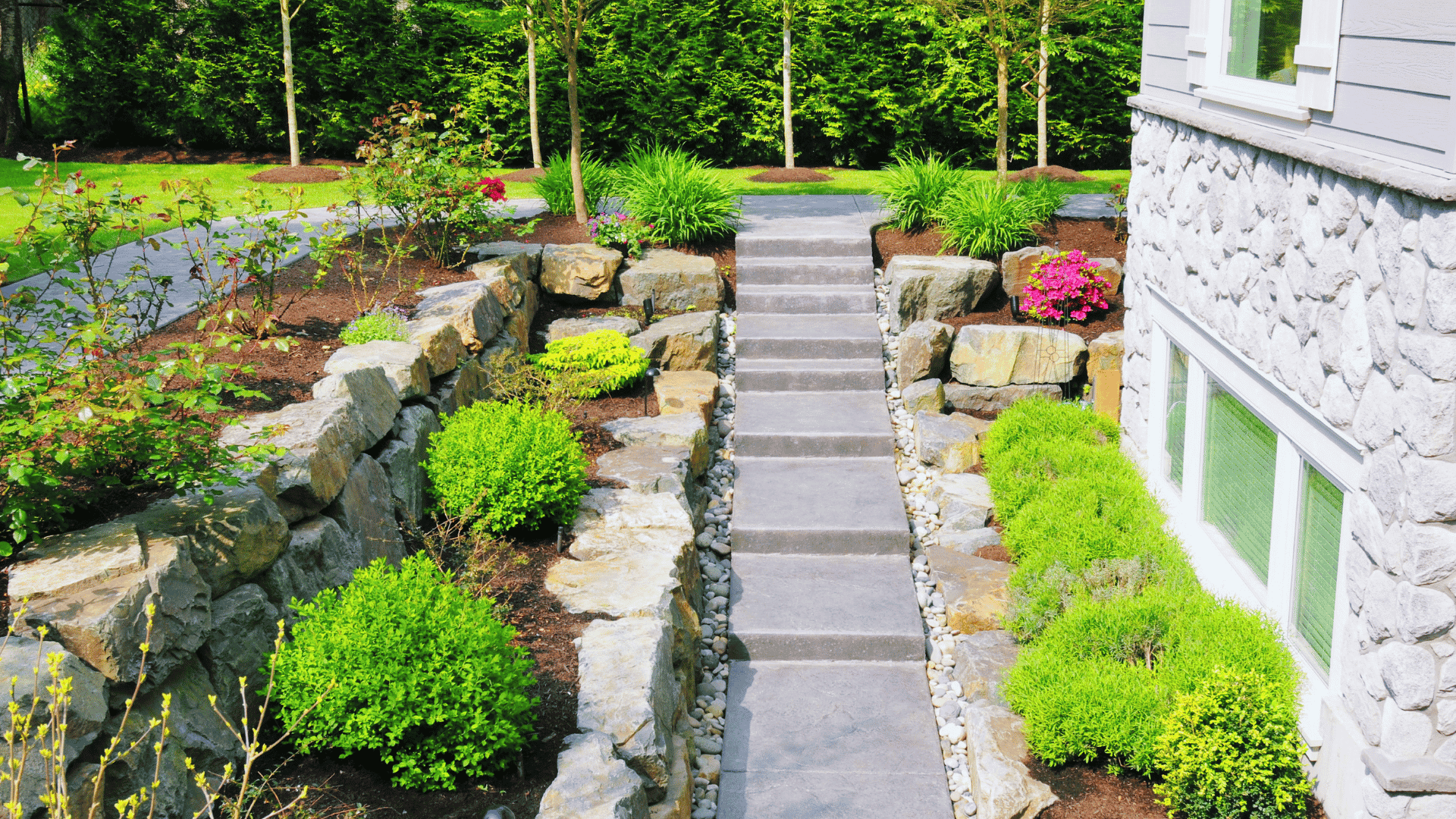 Low-Maintenance Modern Front Yard Landscaping