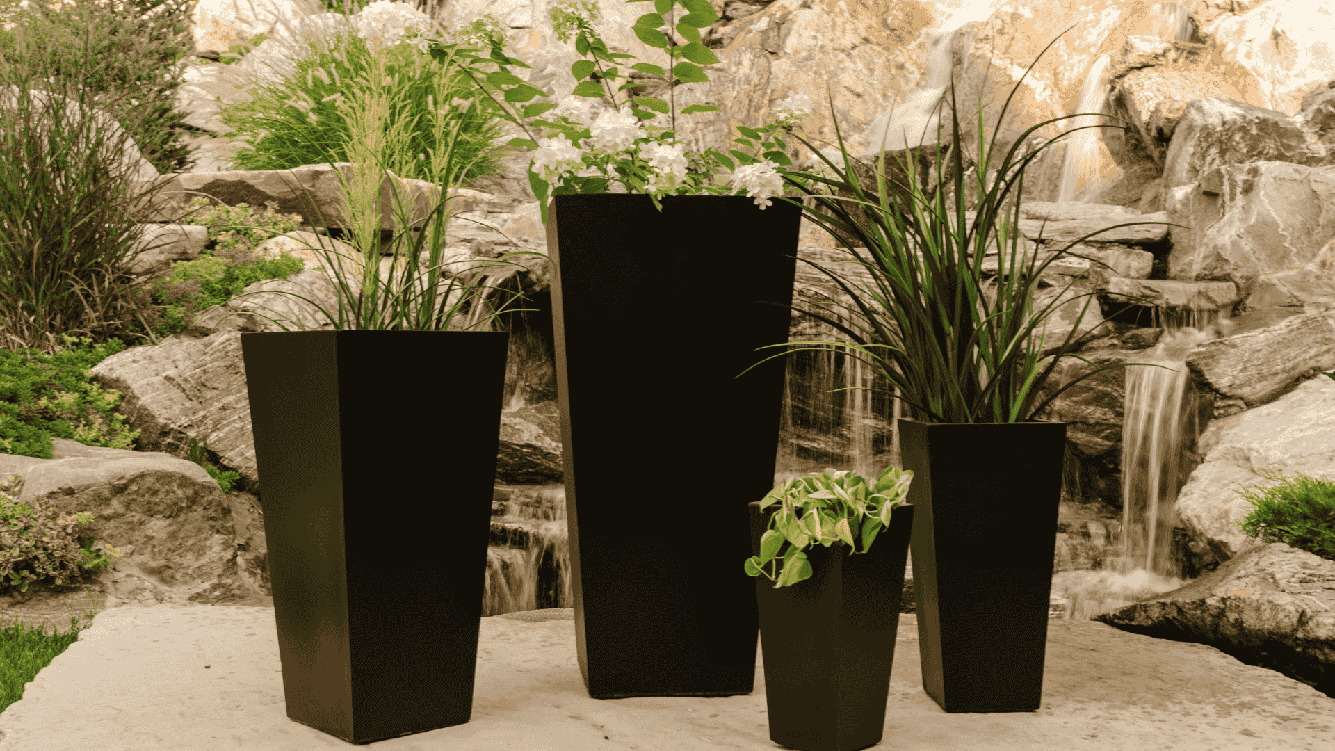 How to Clean Your Modern Planter Pot for Great Curb Appeal