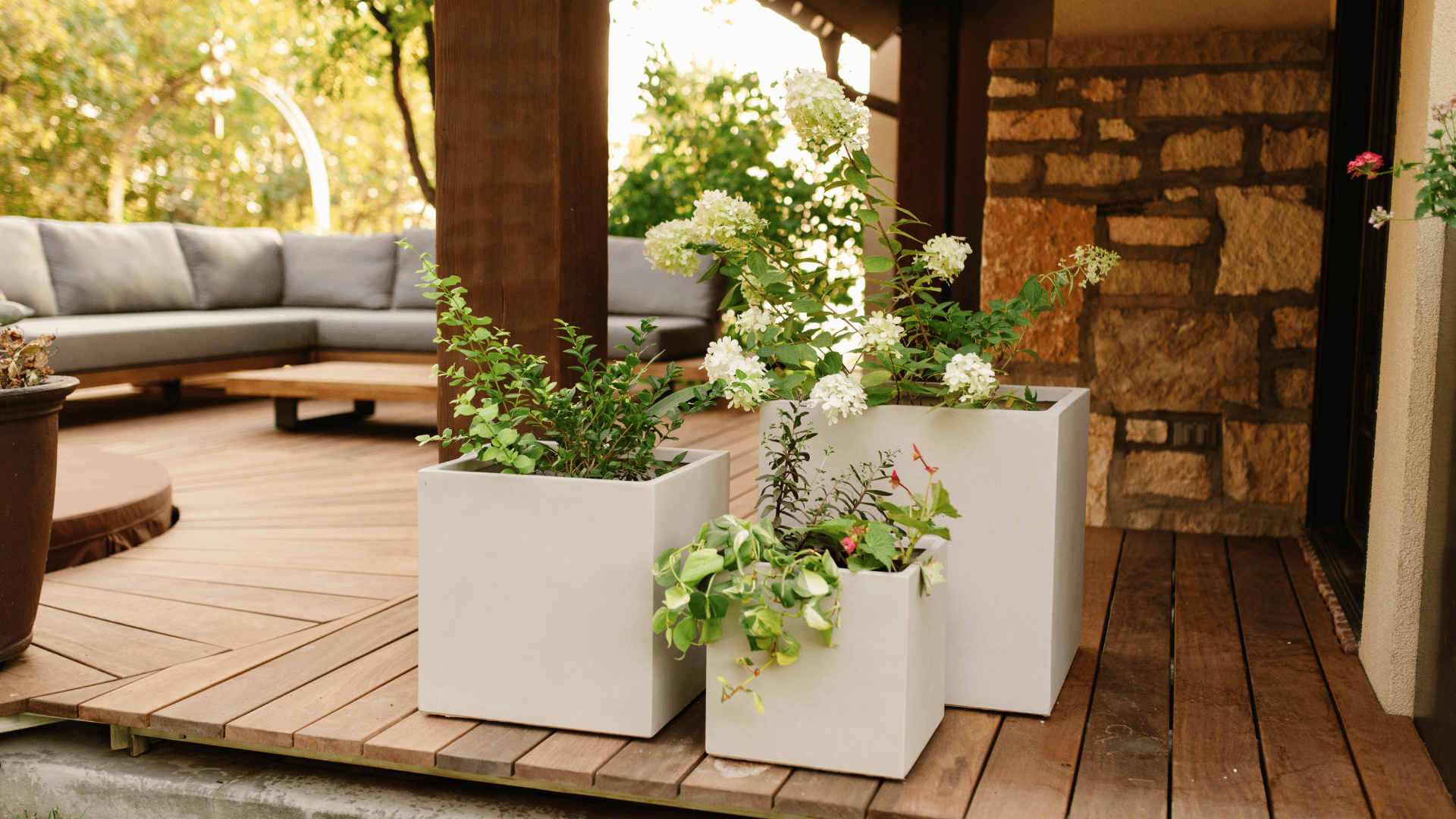 Post & Porch's Modern Planter Pots, Styled
