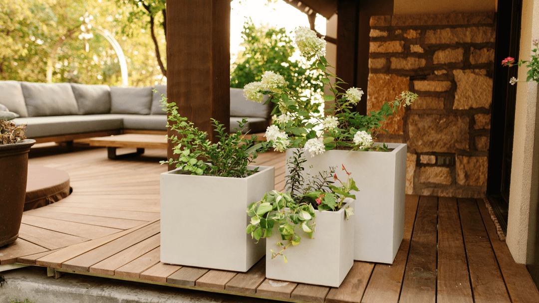 Common Planter Pot Mistakes and How to Fix Them–Post & Porch