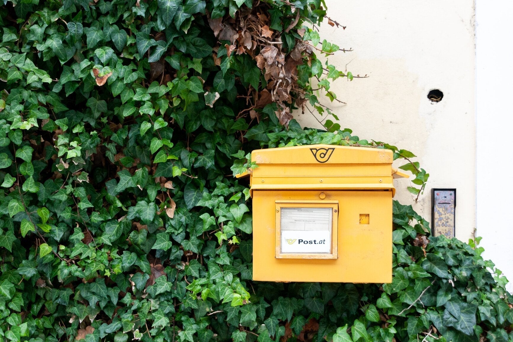 How Do Mailboxes Work: Everything to Know
