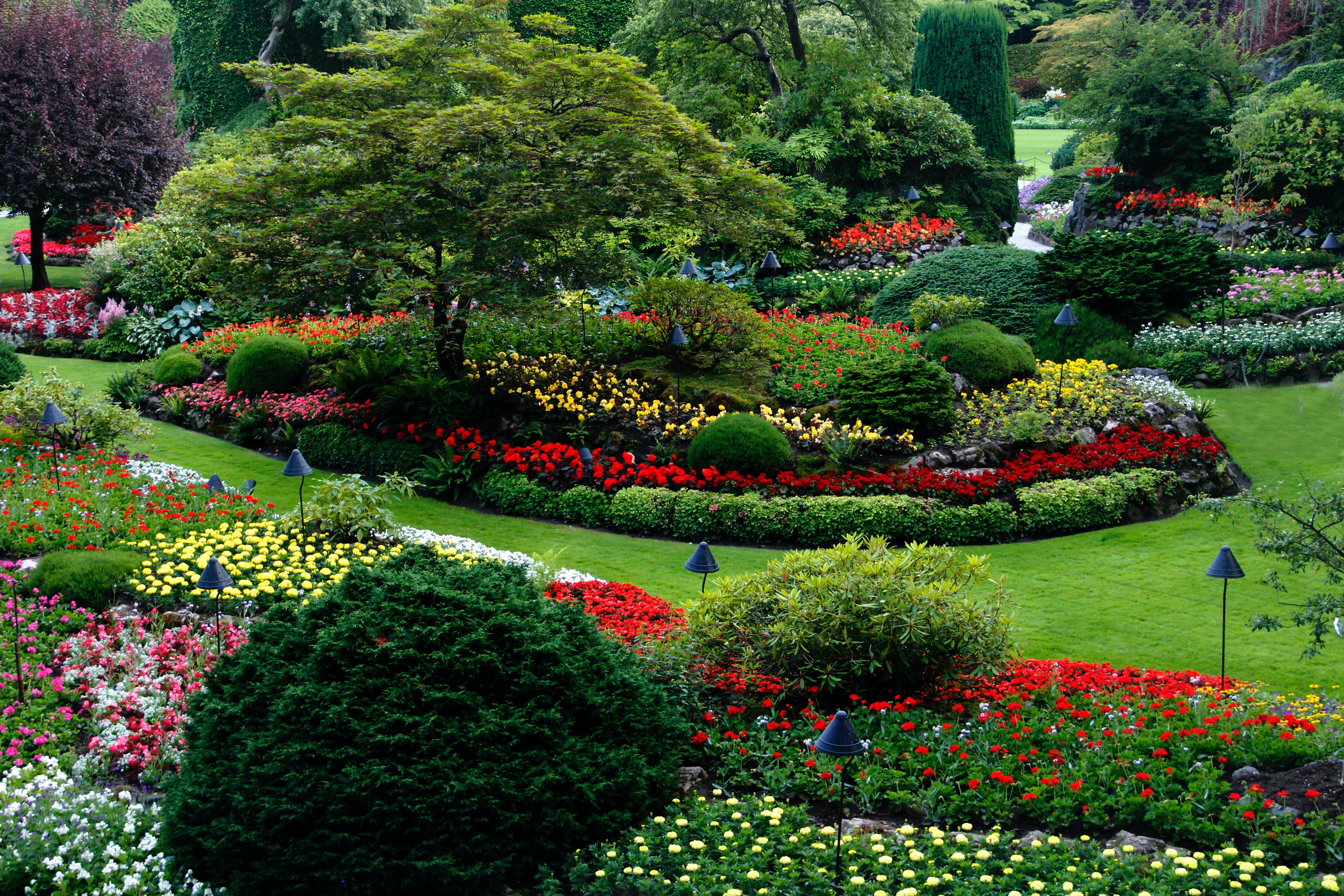 Low-Maintenance Modern Front Yard Landscaping – Post & Porch