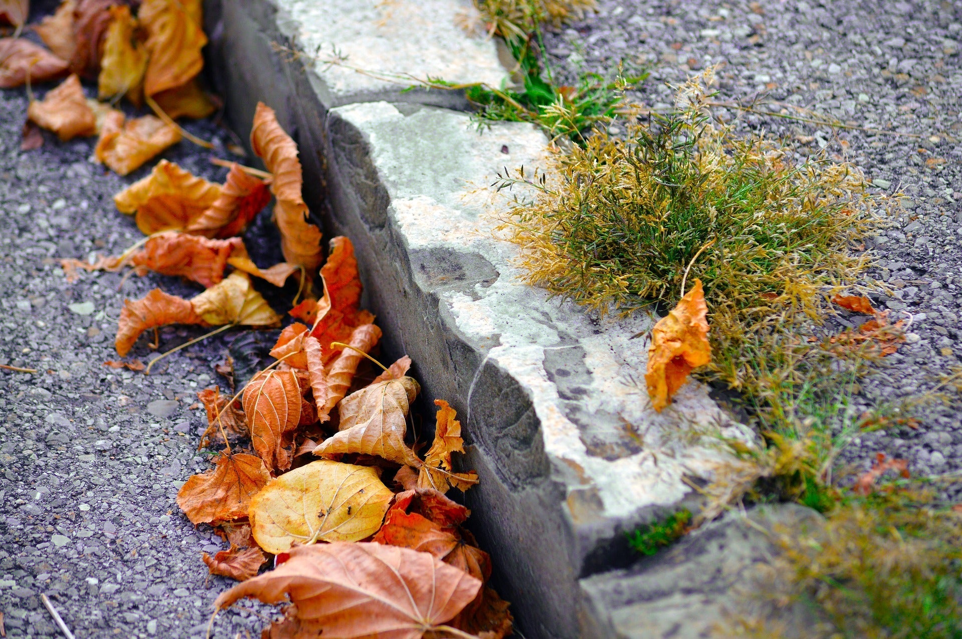 5 Simple Home Improvements To Enhance Your Curb Appeal
