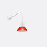 Gooseneck Barn Light