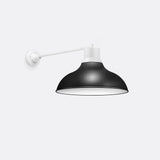 Legacy Straight Arm Barn Light