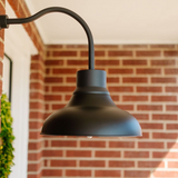 Gooseneck Barn Light