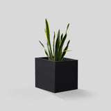 Milard Planter Pot