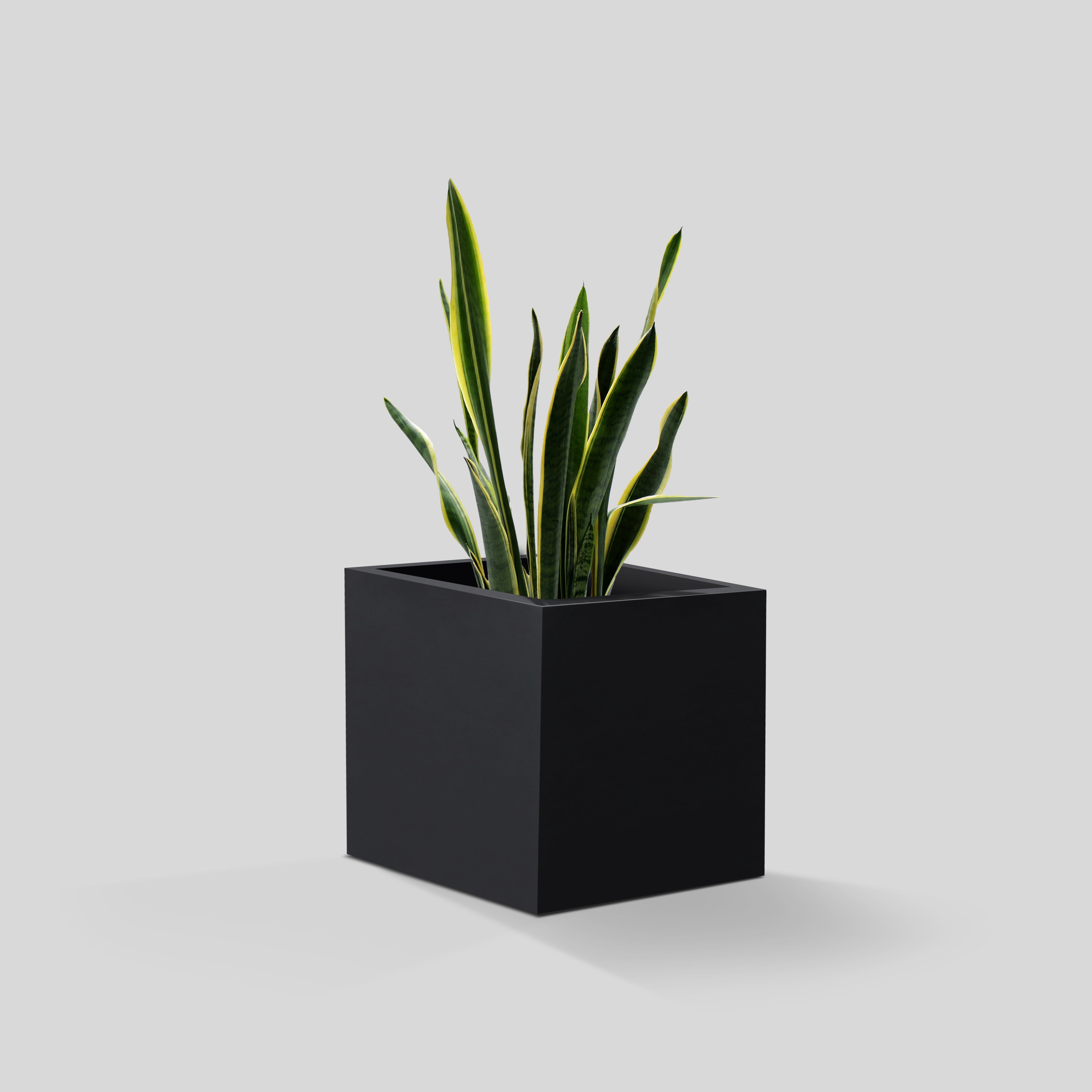 indoor rectangle plant pot Milard Planter Pot Black / Large