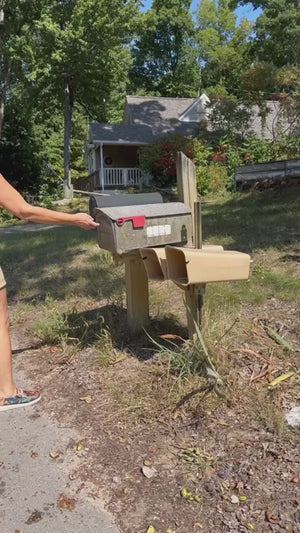 UGC all about the paint