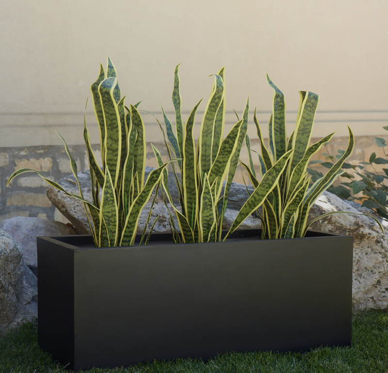 Planter Pots