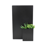 Desert Succulent Bundle